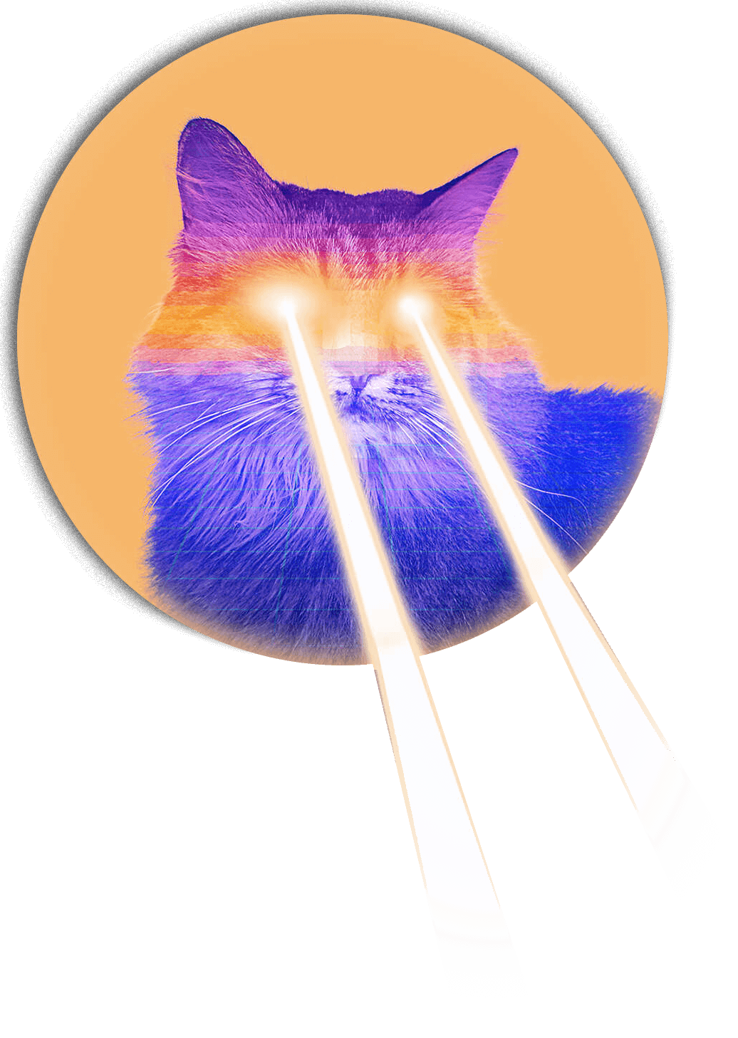real laser cat